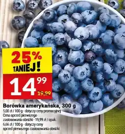 Twój Market Borówka amerykańska oferta