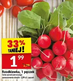 Twój Market Rzodkiewka oferta