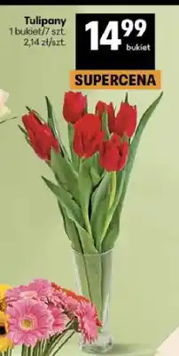 Delikatesy Centrum Tulipany oferta
