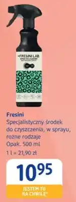 dm drogerie markt Specjalistyczny środek do czyszczenia w sprayu Fresini oferta