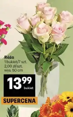Delikatesy Centrum Róża oferta