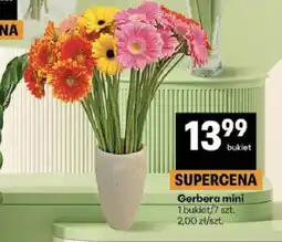 Delikatesy Centrum Gerbera mini oferta