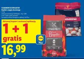 Lidl Brykiet Grill&Fun oferta