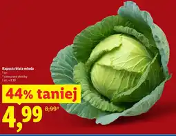Lidl Kapusta młoda oferta