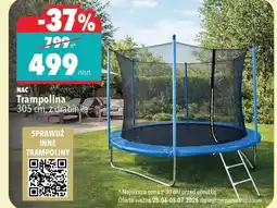 Biedronka Trampolina Nac oferta