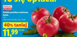 Lidl Pomidory Polski oferta