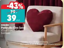 Biedronka Poduszka Domarex oferta
