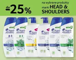 Selgros Szampon oferta