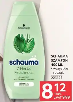 Selgros Szampon oferta