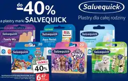 Selgros Plastry na całą rodzinę oferta