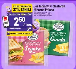 Polomarket Mleczna Polana Ser topiony w plastrach oferta
