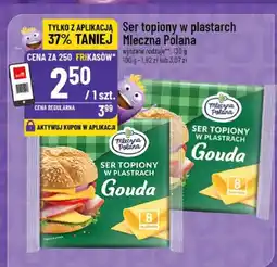 Polomarket Ser topiony w plastrach Mleczna Polana Gouda oferta