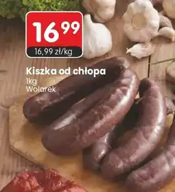 Market Point Kiszka od chłopa Wolarek oferta