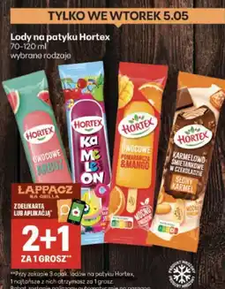 Delikatesy Centrum Lody na patyku Hortex oferta