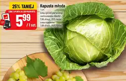 Polomarket Kapusta młoda oferta