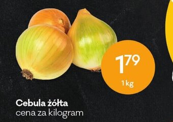 Groszek Cebula żółta 1kg oferta