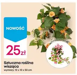 Pepco Sztuczna roślina wisząca oferta