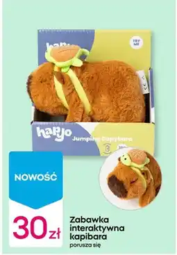 Pepco Zabawka interaktywna kapibara Haryo Jumping Capybara oferta