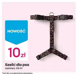Pepco Szelki dla psa rozmiary XS-M oferta