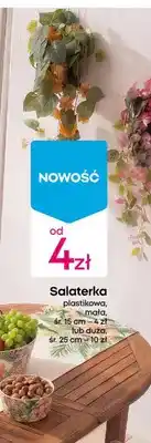 Pepco Salaterka plastikowa duża oferta