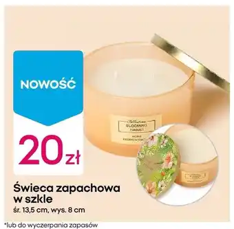 Pepco Świeca zapachowa w szkle oferta
