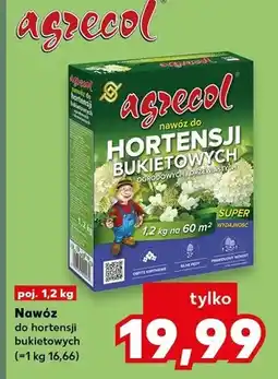 Kaufland Nawóz do hortensji bukietowych Agrecol oferta