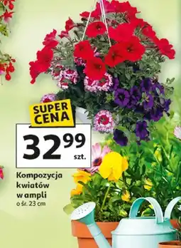Auchan Kompozycja kwiatów w ampli oferta