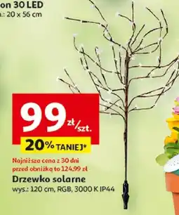 Auchan Drzewko solarne 30 LED RGB 3000K IP44 120cm oferta