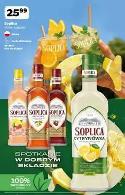 Netto SOPLICA oferta
