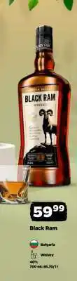 Netto BLACK RAM oferta