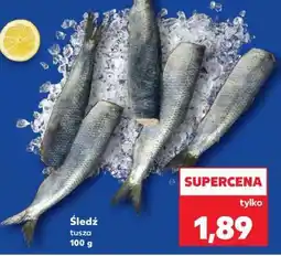 Kaufland Śledź tusza oferta