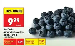 Biedronka Borówka amerykańska XL, opak. 150 g oferta