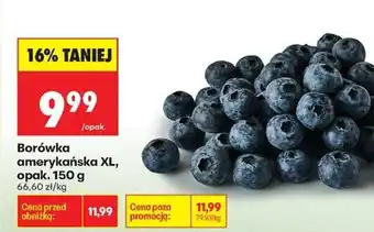 Biedronka Borówka amerykańska XL, opak. 150 g oferta