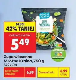 Biedronka Zupa wiosenna Mroźna Kraina, 750 g oferta