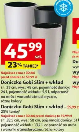 Auchan Doniczka Gobi Slim + wkład oferta