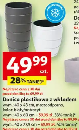 Auchan Donica plastikowa z wkładem oferta