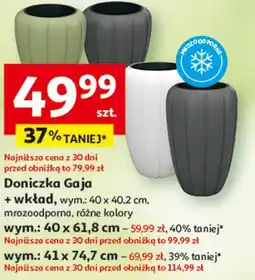 Auchan Doniczka Gaja + wkład oferta