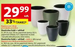 Auchan Doniczka Gobi + wkład oferta