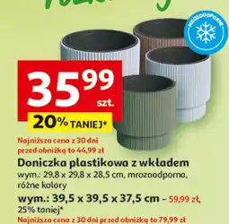 Auchan Doniczka plastikowa z wkładem oferta