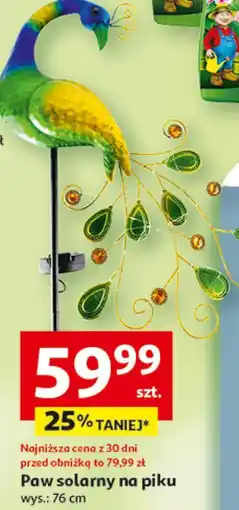 Auchan Paw solarny na piku oferta