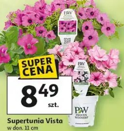 Auchan Supertunia Vista oferta
