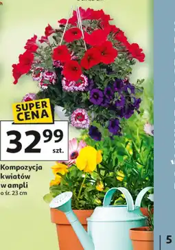 Auchan Kompozycja kwiatów w ampli o śr. 23 cm oferta