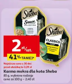 Auchan Karma mokra dla kota Sheba oferta