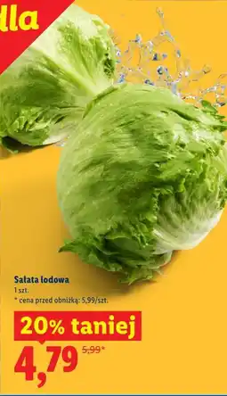 Lidl Sałata lodowa oferta