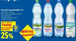 Lidl Wszystkie wody SAGUARO oferta
