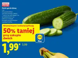 Lidl Ogórek Polski oferta