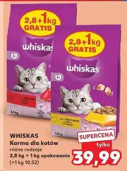 Kaufland Karma dla kotów Whiskas sucha oferta