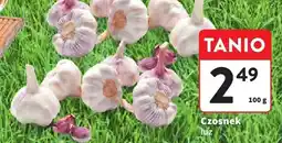 Intermarche Czosnek luz oferta