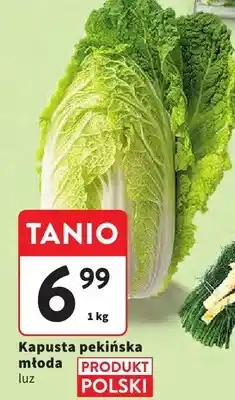 Intermarche Kapusta pekińska młoda luz oferta