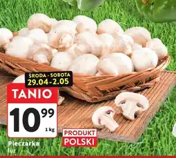Intermarche Pieczarka luz oferta